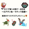 カリブ海への旅 7・8日目 〜最高のクリスマスプレゼント🎄〜