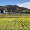 私を生かした聖句（2）ローマの信徒への手紙　12章1節