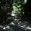 大神神社写真館(６/２１)