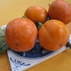 プルトニウムと津波の前に穴が！？