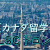 【カナダ留学】ILSCトロントで学ぶ！プログラム・費用・現地体験ガイド