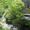 熊本～大分県へ！温泉巡り一人旅 ⑥ 黒川温泉「夢龍胆」さん（日帰り入浴と回想録）