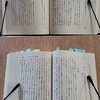 『人倫の形而上学』にアカデミー版のページ番号を転記した話(道徳哲学史講義の積読山脈)