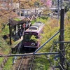 嵐電・桜のトンネル