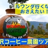 東アフリカ旅⑧〜ルワンダのコーヒー農園ツアー編〜《30ドル》で贅沢な経験ができます