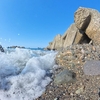 Insta360 X4で撮影すると、撮影後に動画や静止画に切り出せるのが楽しい！！