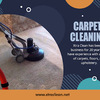 Carpet Cleaning Westlake Village