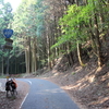 山口県を通る酷道491号線の酷さを聞いてくれ