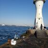 2020年2月8日野島防波堤ドックカレイ