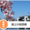 【浦上川桜回廊】早咲き桜を見てきました！川沿いお散歩が気持ちいい季節。