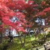 秋の紅葉はいつ？八甲田山や弘前公園の見どころ紹介