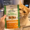 ストレスなく飲ませられる！猫の投薬方法