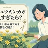 ヒメリュウキンカが増えすぎたら？毒性や上手な育て方を解説！