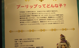 記事を見る