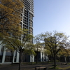 【2022年4月18日（月）から4月24日（日）のメッセージ】