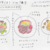 フランスの食文化14（ルーアン）