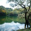 糸魚川ジオパークvol3　高浪の池