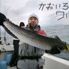 3/4 丹後ジギング　2012初釣り　鰆を釣ろう！