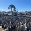 メモ　不整脈　漢方薬
