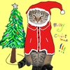 福ニャン日記　クリスマス・イヴ