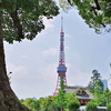 7月29日（月）芝公園のセミ時雨と、酒場で見る朝ドラ再放送。