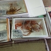 同居人、海苔を買う・その2