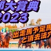 【京都大賞典2023】出走馬予定馬データ分析と消去法予想