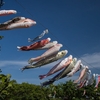 鯉のぼり泳ぐ５月５日の空 ～ by空倶楽部
