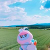 北海道で映え映えうさボンを激写する旅　2019夏②