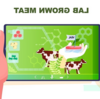 研究室で育てられた肉: それは医薬品ですか、それとも食品ですか?