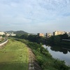 雨、雨