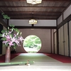 【鎌倉いいね】紫陽花前の新緑が美しい明月院。