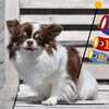 ２０２１犬小屋の子供の日(^^♪