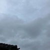 雨