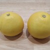 文旦のピール、５年ぶりにっ！