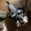 ふくすけ　特集やっちゃうよ