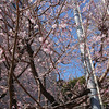 延長みたいね！