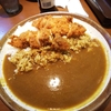 カレーハウスCoCo壱番屋(ﾟдﾟ)＜メシウマ