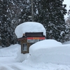 豪雪に恵まれたスキー場で考えてわかった、人生の醍醐味