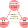 【今更聞けない、3大栄養素】