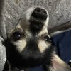 まろにー3405日目