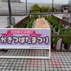 「珍種かきつばたまつり」2024