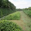 名城公園から久屋大通公園へ。