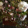 塩竈桜が咲き始めました