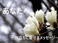 『あなたへ』合唱曲【歌い方のコツとポイント徹底解説！】人生の重みを歌い切れ！
