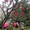 今日雨水