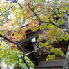 鷲林寺 と トラピスト修道院 at 兵庫県西宮市