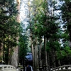 【昨日につづき...】如実知自心 ひとり旅 ～東寺→高野山～その２－２