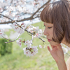 桜のポートレート〜秀子さん〜