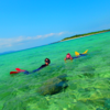 パナリ島でエメラルドブルーの海を泳ごう🏖西表島シュノーケリング